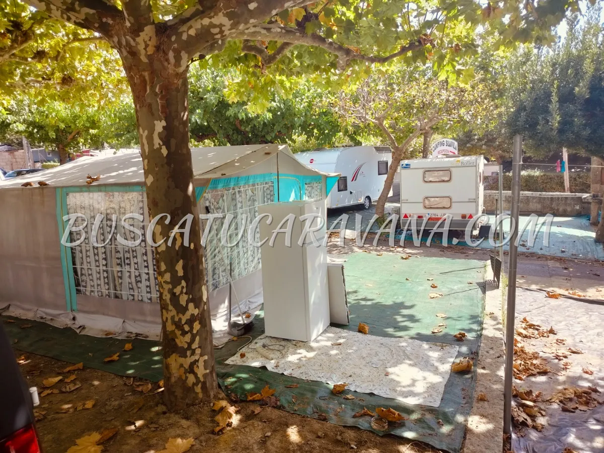 Carro tienda General Wolder Magnum